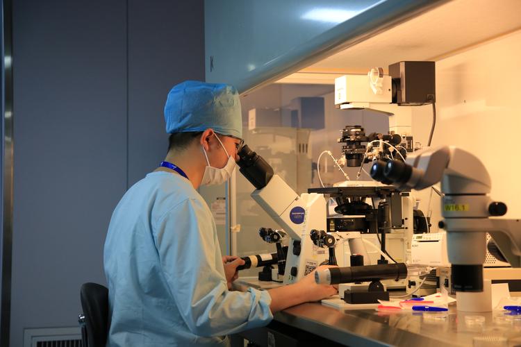 国内试管代怀机构【国内试管代怀机构:助您圆梦成家】