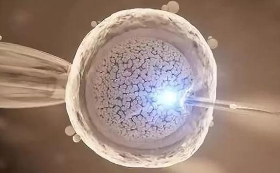 国内试管供卵(国内试管供卵：新选择助力生育梦)