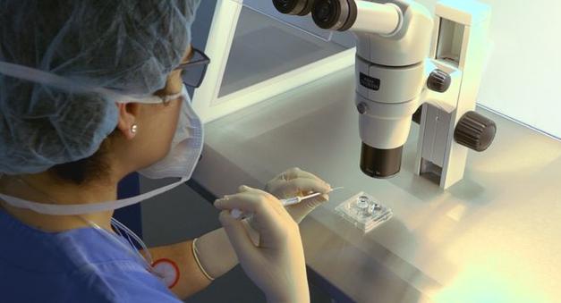 国内试管婴儿选性别-国内试管婴儿选性别：新生命性别自主选择