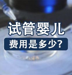 国内能做试管代怀吗【国内试管代怀孕可行吗?】