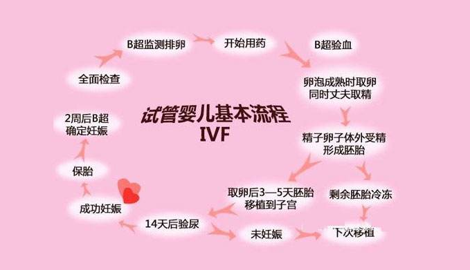 国内试管供卵试管流程及费用【国内试管供卵试管流程及费用解析】