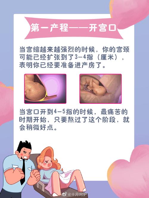 代生出来的孩子(代生宝贝：关于代生出来的孩子的故事)