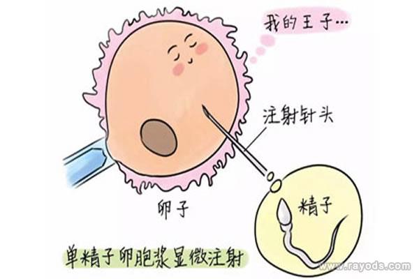 国内试管代怀哪家最好【国内试管代怀哪家最好?一探最佳选择】