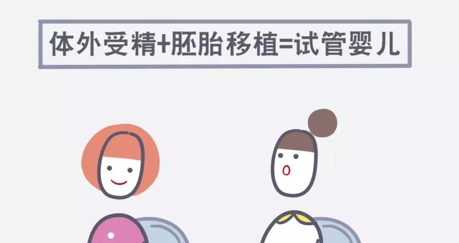 国内试管代怀怎么样【国内试管代怀怎么样？详细解读试管代怀孕流程及注意事项】