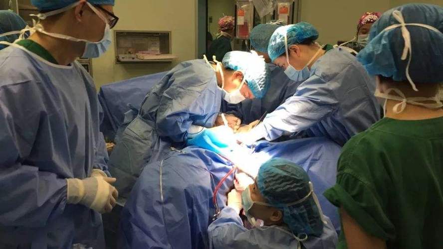 代生孩子全包-代生孩子全包:一站式解决生育难题